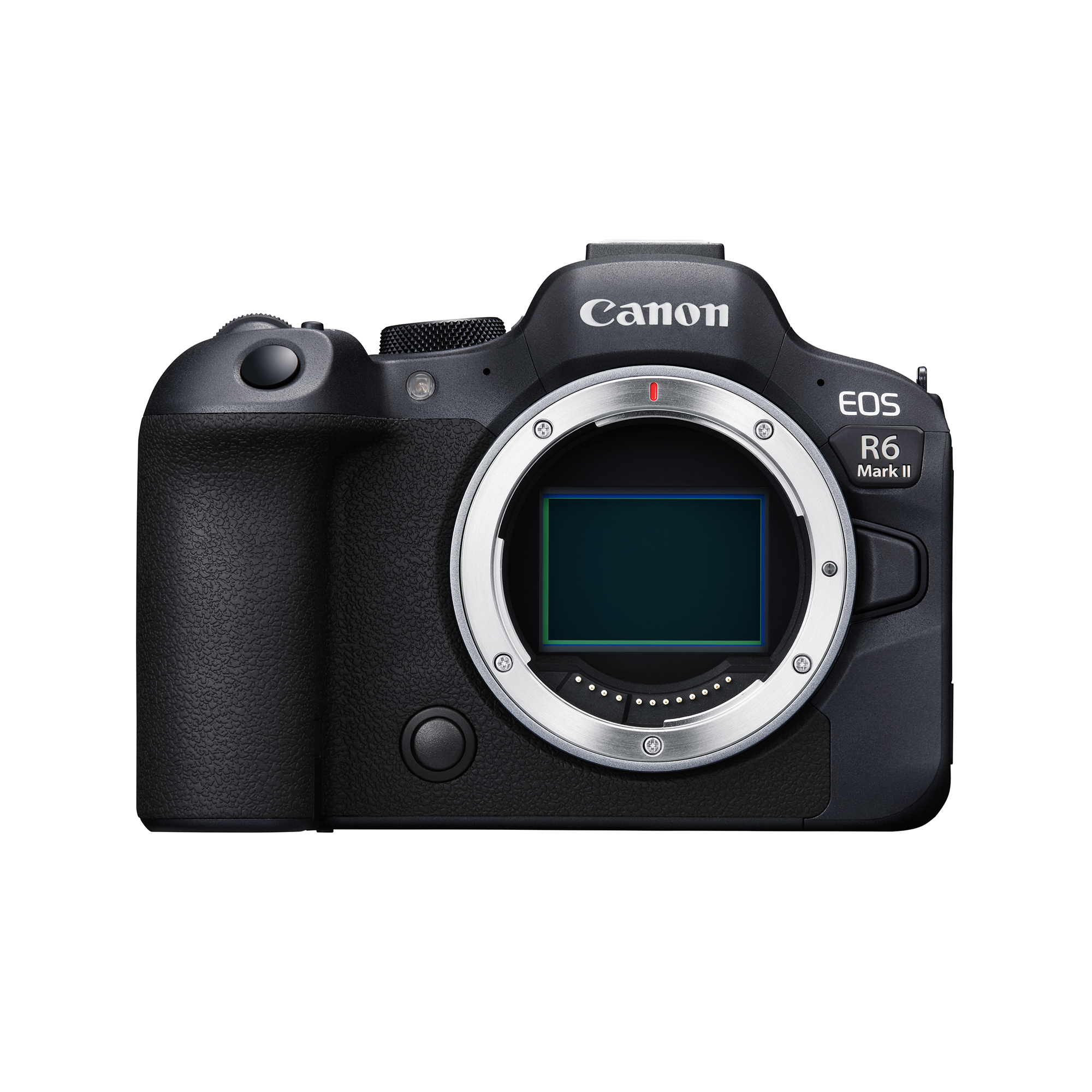 Image of Canon EOS R6 Mark II Body