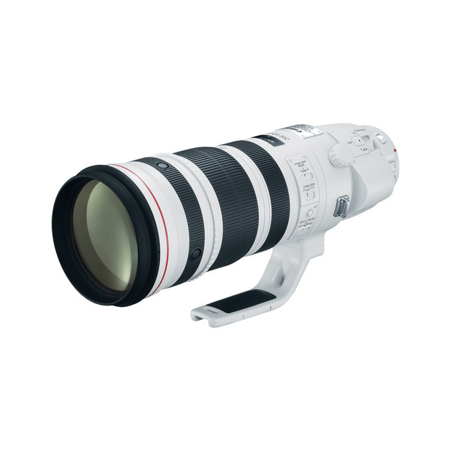 Canon EF 200-400mm f/4L IS USM Extension 1.4X | Henry's