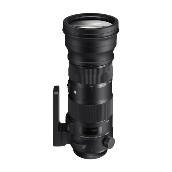 Sigma 150-600 f/5-6.3 Sport Canon DG OS | Henry's