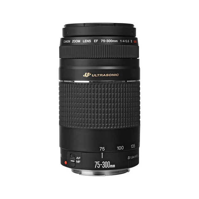 USED CANON 75-300 F4-5.6 III USM | Henry's