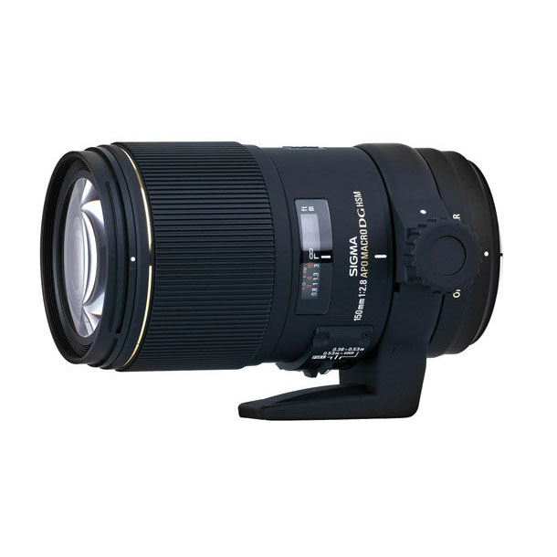 search?fileName=/Products/