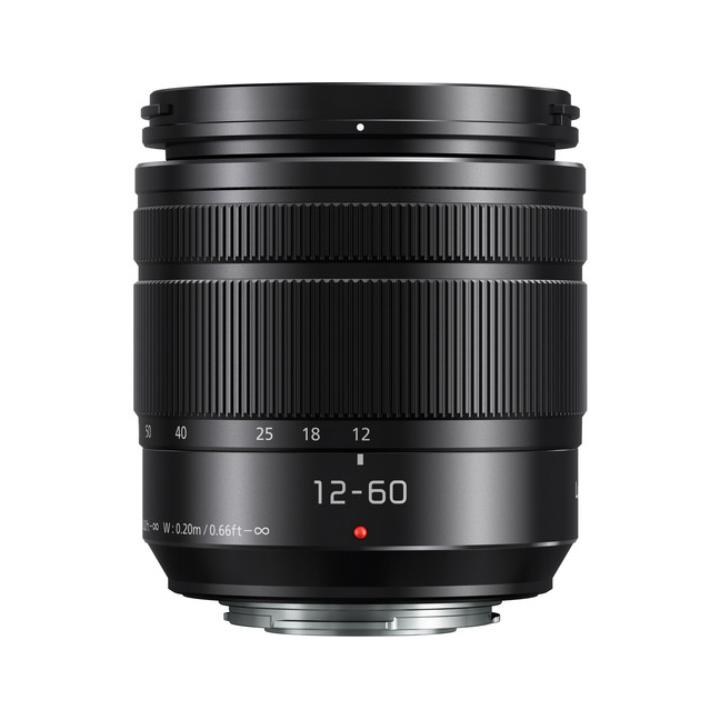 Panasonic - ＰＡＮＡＳＯＮＩＣ　Ｇ１２－６０ｍｍ　Ｆ３．５－５．６ＡＳＰＨ．ＯＩＳ Panasonic LUMIX G Vario 12-60mm/F3.5-5.6 ASPH./Power O.I.S.