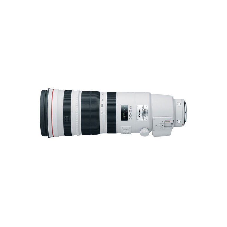 Canon EF 200-400mm f/4L IS USM Extension 1.4X