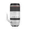 Canon RF 100-500 f/4.5-7.1 L IS USM