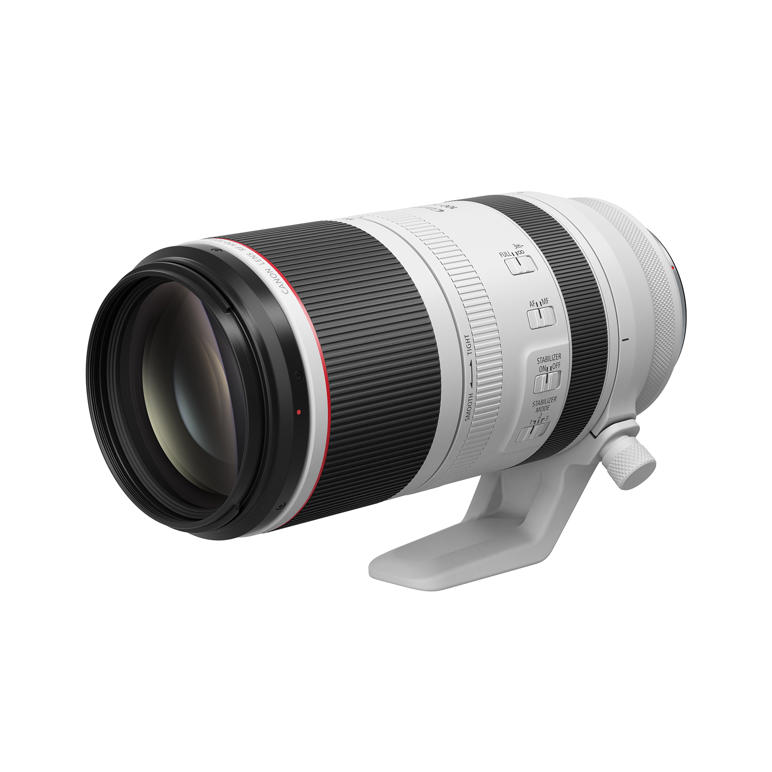 Canon RF 100-500 f/4.5-7.1 L IS USM