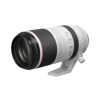 Canon RF 100-500 f/4.5-7.1 L IS USM