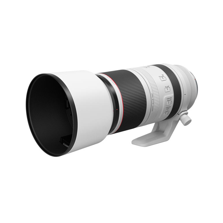 Canon RF 100-500 f/4.5-7.1 L IS USM