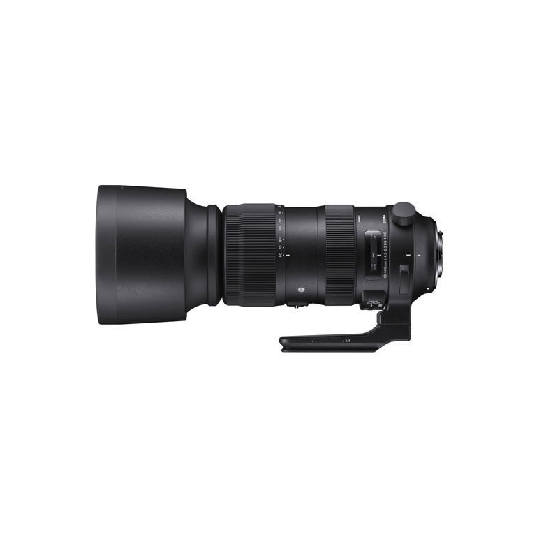 Sigma 60-600mm f/4.5-6.3 DG OS HSM (Sports) Canon EF