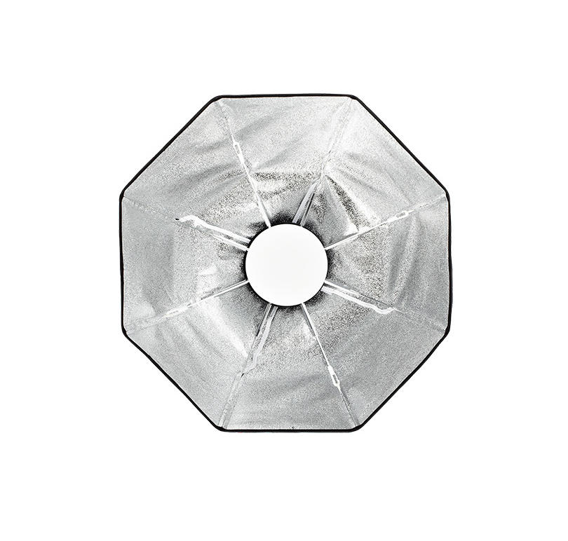 Profoto OCF Beauty Dish Silver 2'