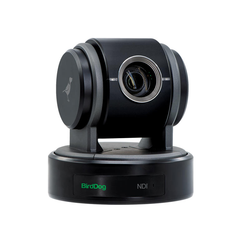 Birddog Eyes P100 Black