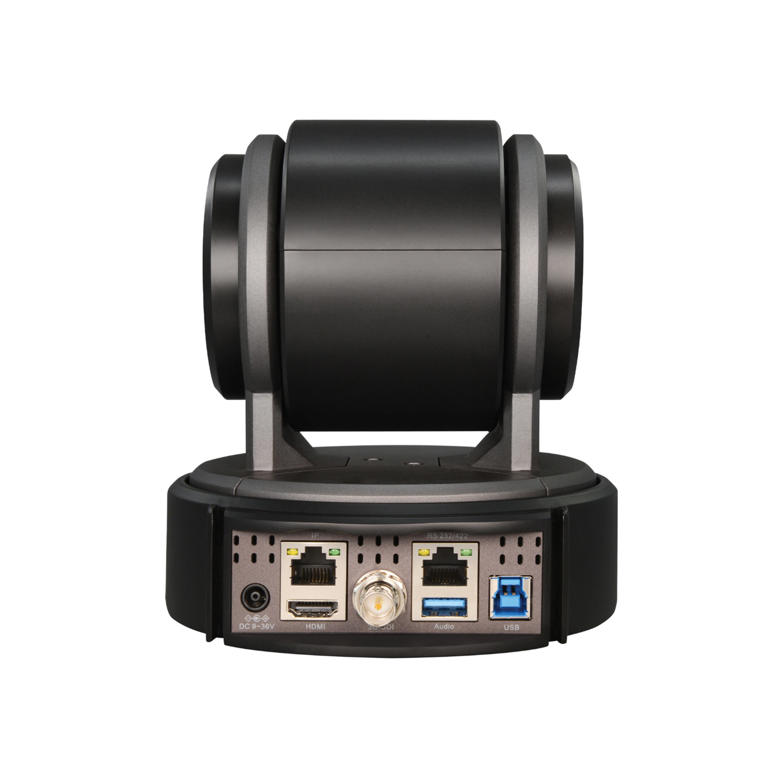 Birddog Eyes P100 Black