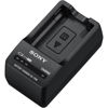 Sony BCTRW Battery Charger for W-Series