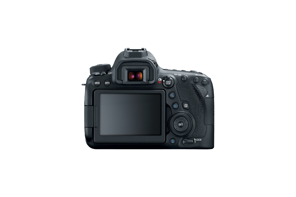 Canon EOS 6D MKII with 24-105 f/4 L II Lens Henry's