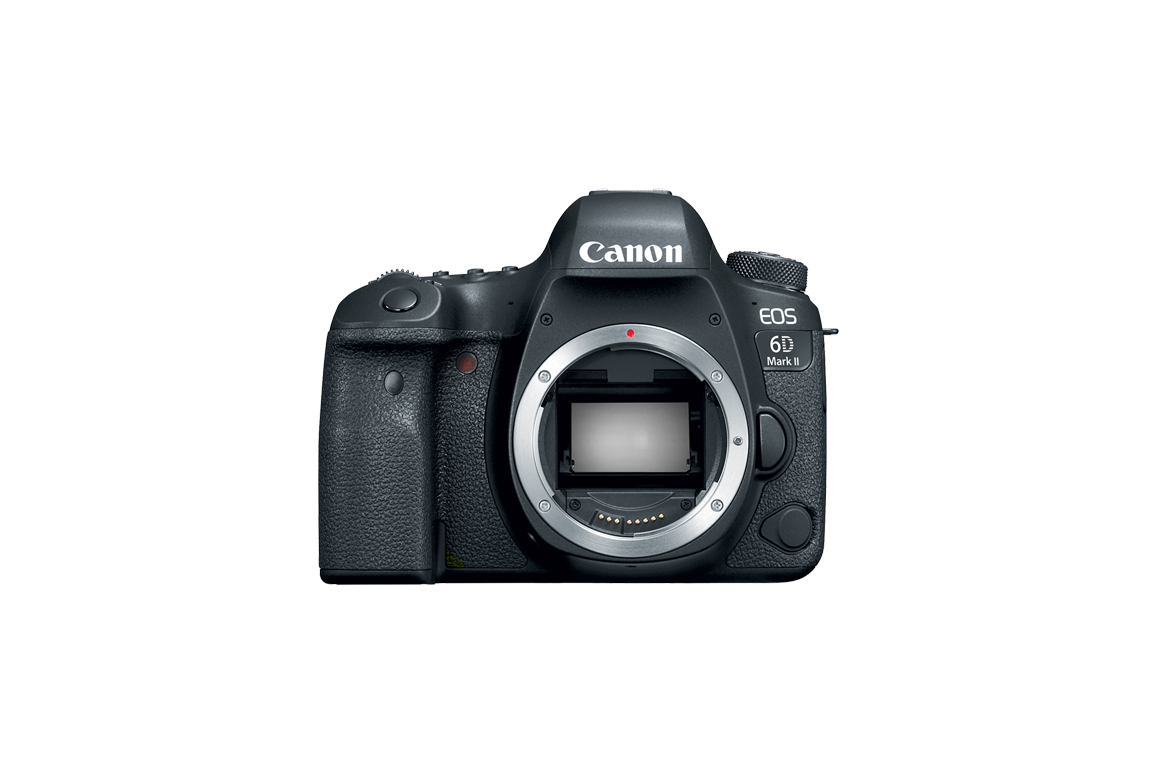 Canon EOS 6D MKII with 24-105 f/4 L II Lens Henry's