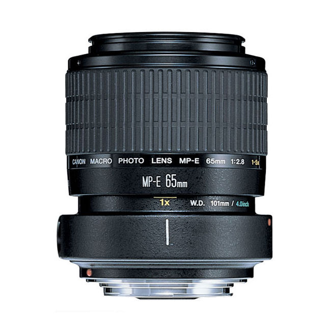 Canon MP-E65/F2.8 Macro (1-5X)