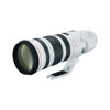Canon EF 200-400mm f/4L IS USM Extension 1.4X