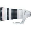 Canon EF 400mm f/2.8 L IS III USM Lens