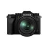 Fujifilm X-T5 w/ XF16-80mm f4 R OIS WR Lens