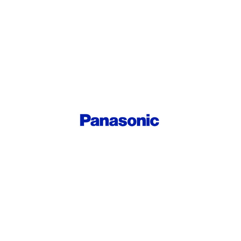 Panasonic De-A41Bb/Bc/Bd Charger