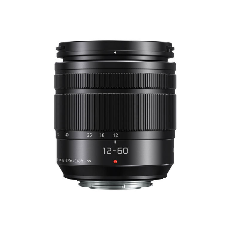 Panasonic Lumix G 12-60mm 3.5-5.6 OIS