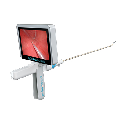 Endosee Advance Display Module