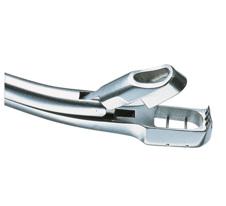 Wittner, Angled Biopsy Punch 8mm x 4mm - 21.5cm