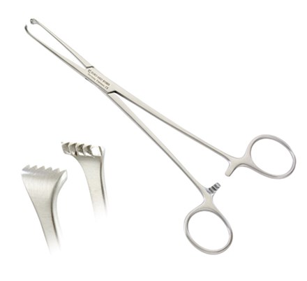 Allis Forceps, 4 x 5 Teeth, 6"