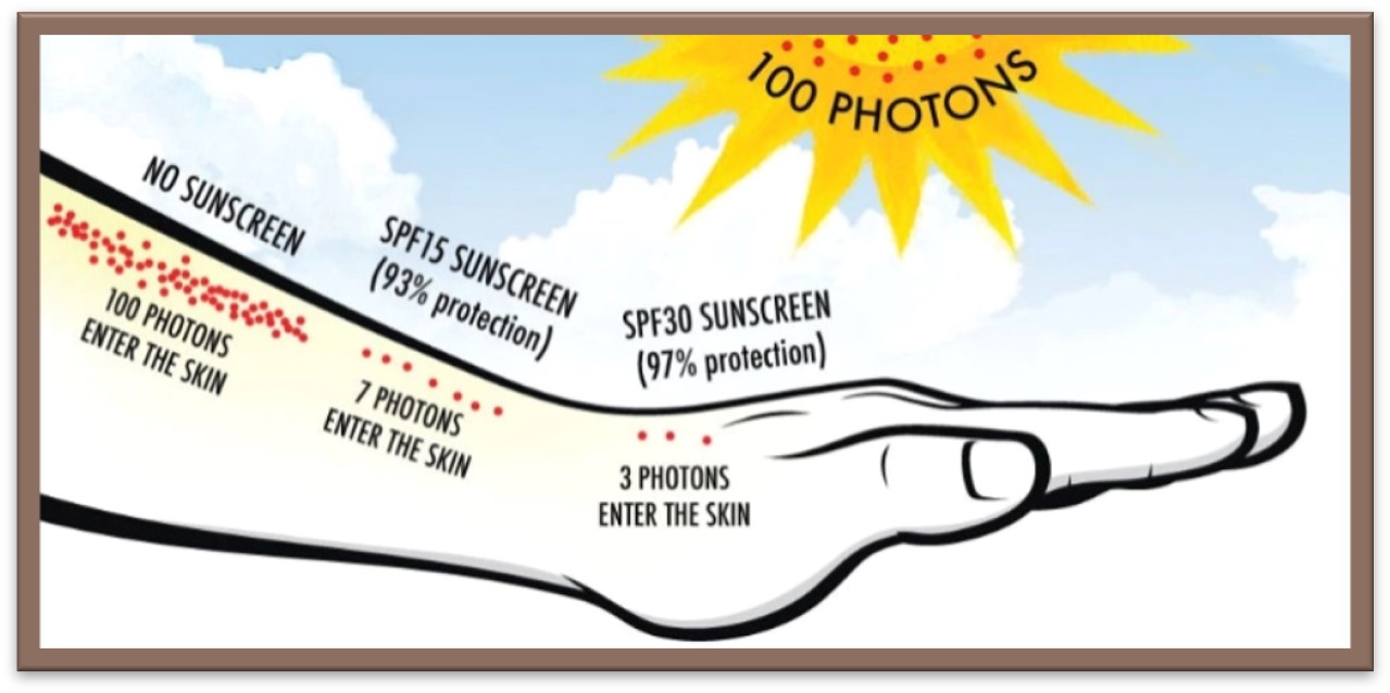 Diagram of SPF and Sun Photons