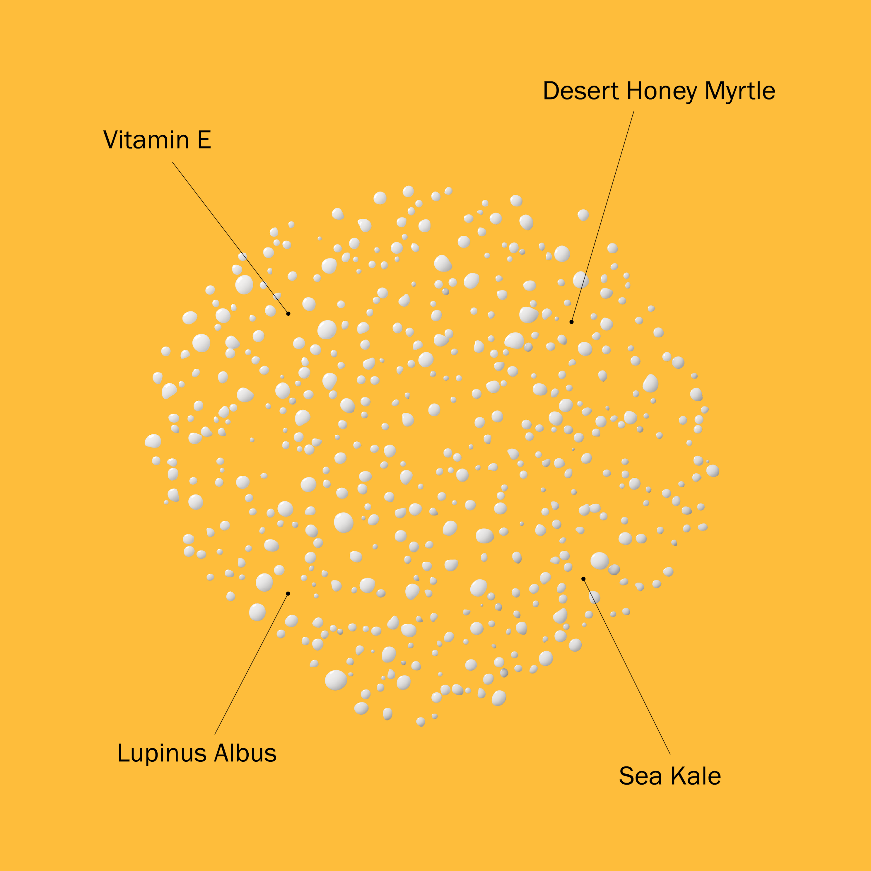 SPF 50 Face & Scalp Mist 3.4 fl oz