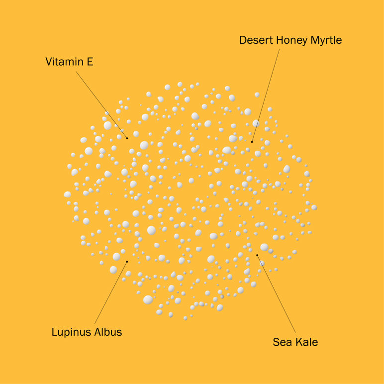 SPF 50 Face & Scalp Mist 3.4 fl oz