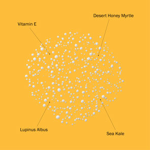 SPF 50 Face & Scalp Mist 3.4 fl oz