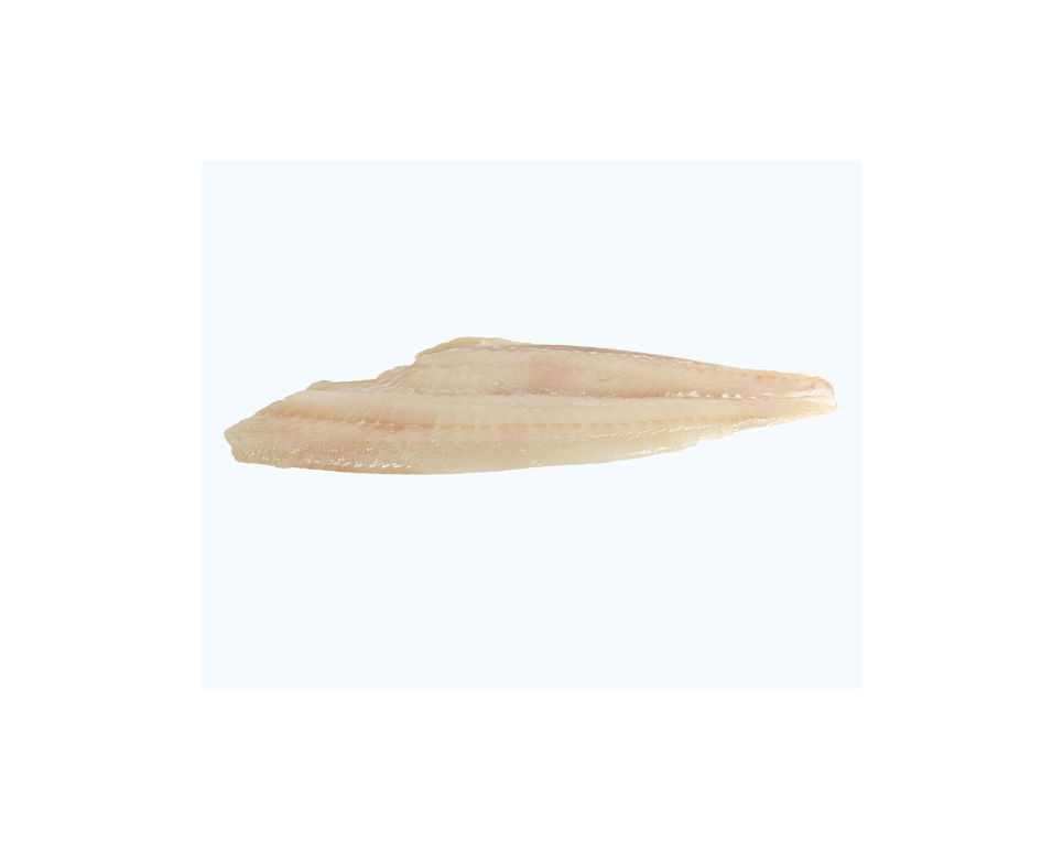 Flounder Fillet Iqf Skinless 5 Ounce Chinese