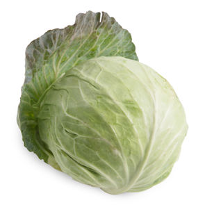 Cabbage Greens Fresh Large