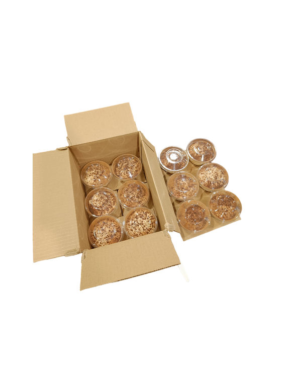 Dessert Tiramisu Cup