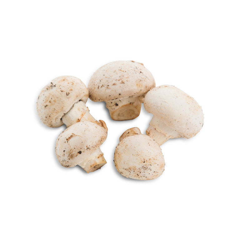 Mushroom Foodservice #2 Fresh