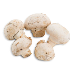 Mushroom Foodservice #2 Fresh