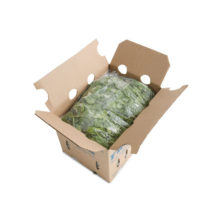 Spinach Clipped Fresh