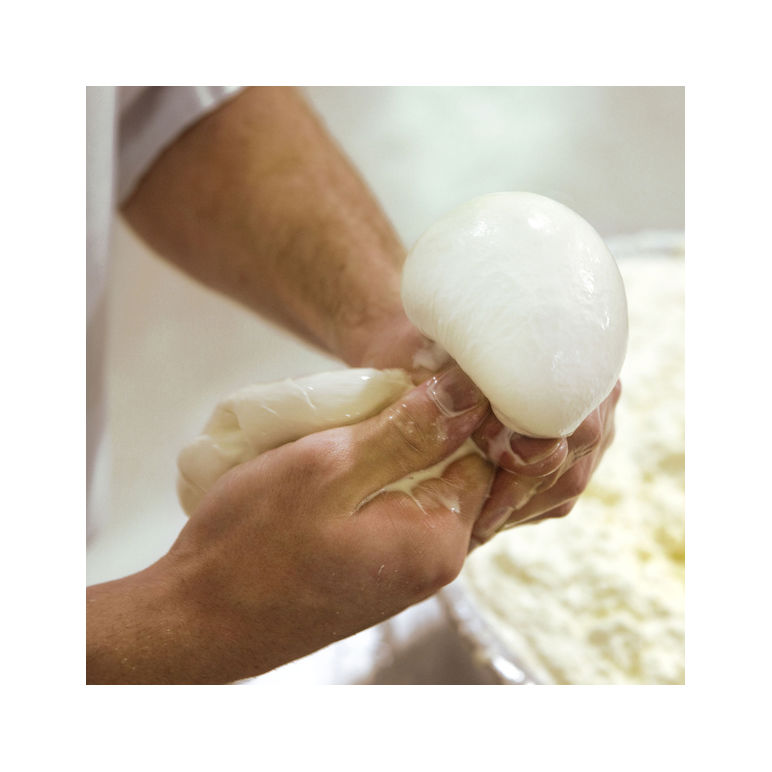 Cheese Mozzarella Fresh Curd Ph 5.80