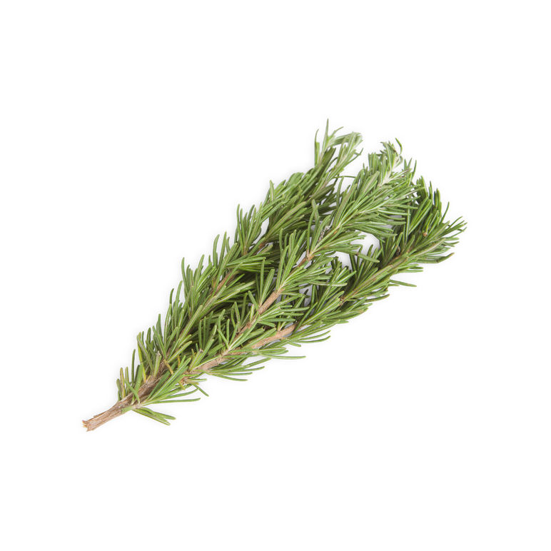 Rosemary Fresh Herb