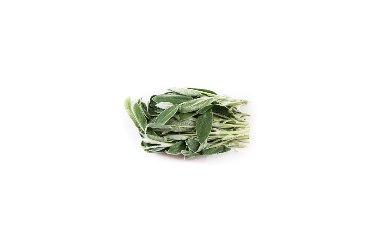 Sage Fresh Herb