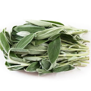 Sage Fresh Herb