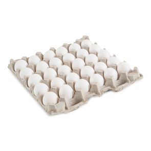 Egg Shell Medium Grade Aa Usda White