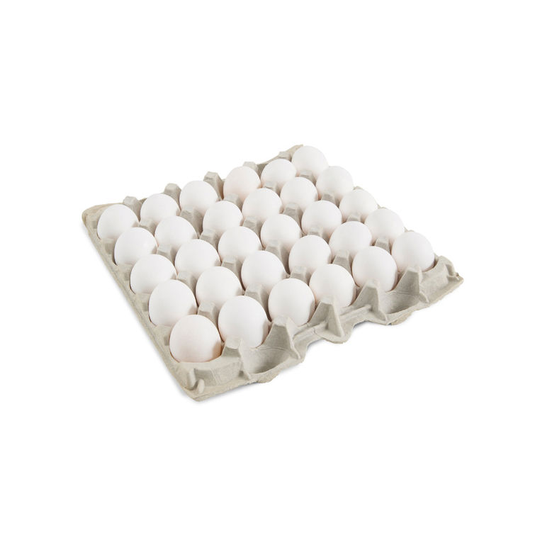 Egg Shell Large Grade Aa Usda White