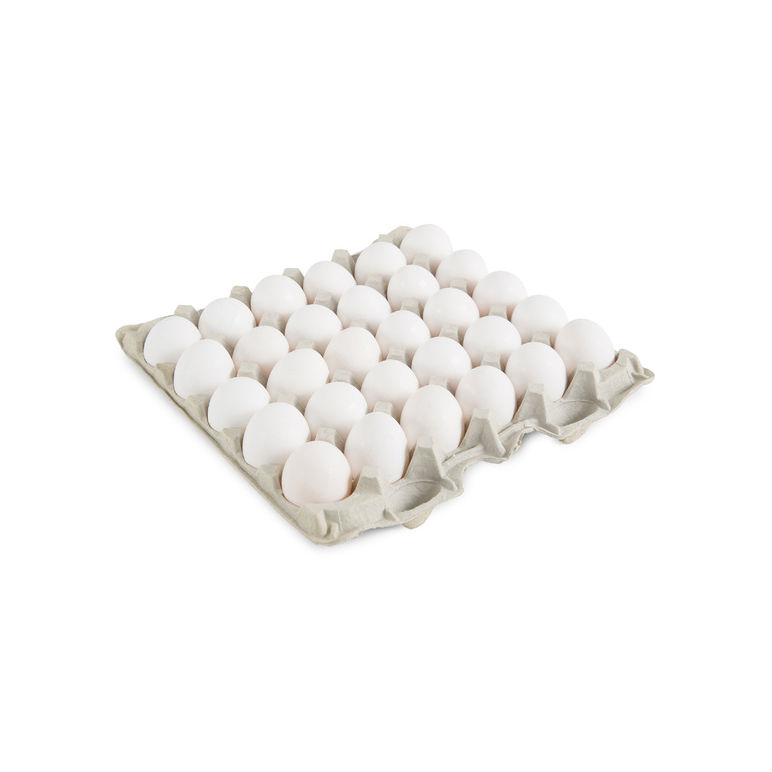 Egg In-shell Extra-large Grade Aa Usda White