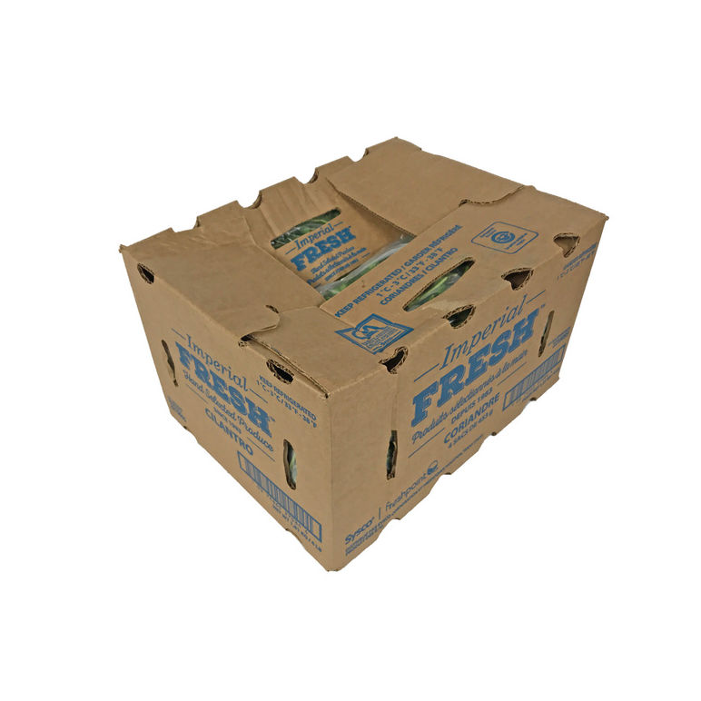 Cilantro Cleaned, Washed & Fresh Herb