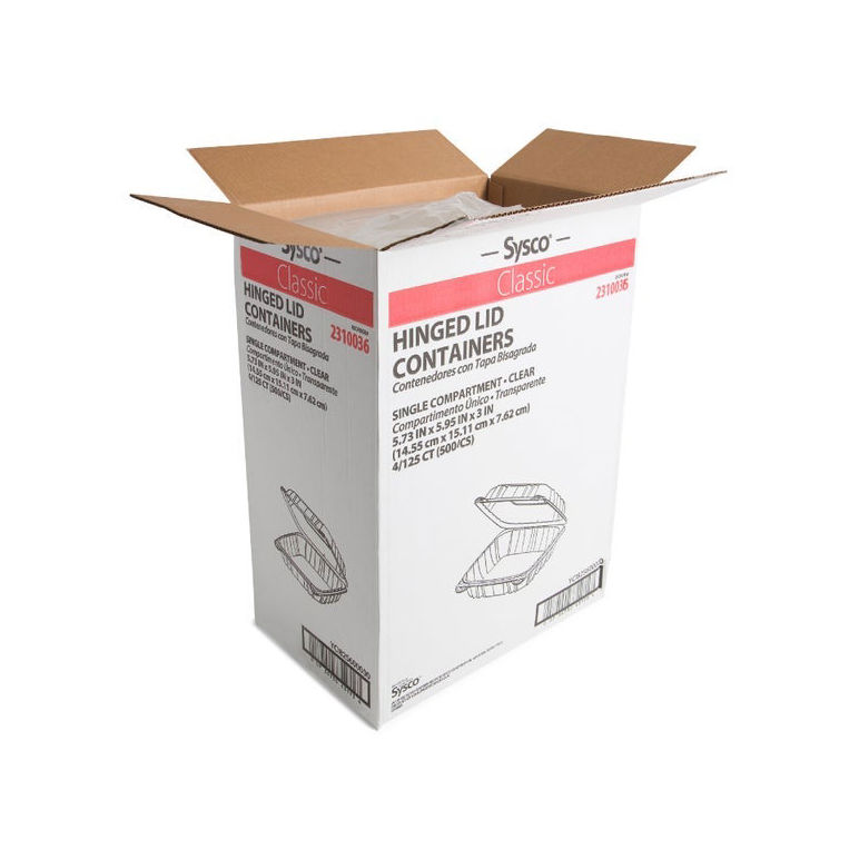 Container Plastic Clear Hinged 6 Inch