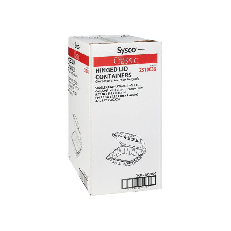 Container Plastic Clear Hinged 6 Inch