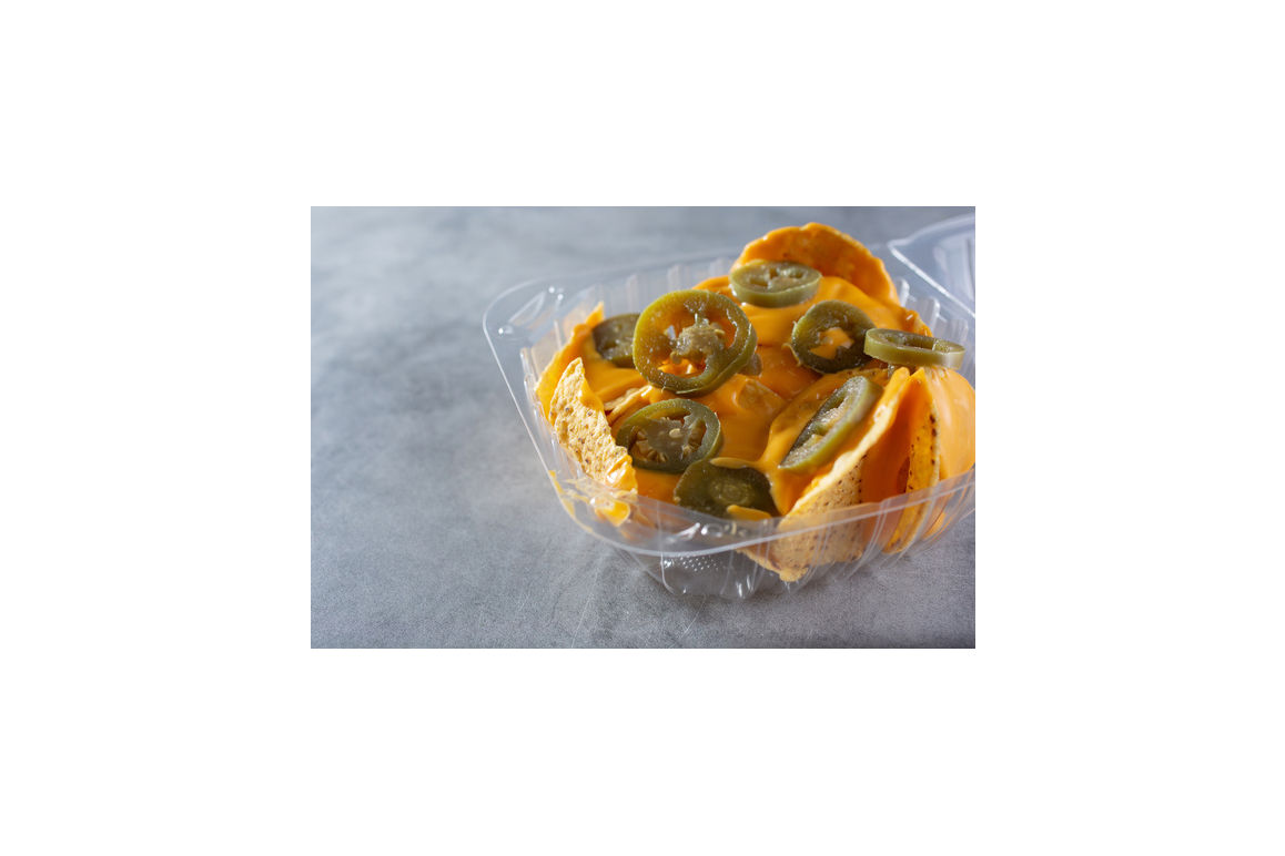 Container Plastic Clear Hinged 6 Inch