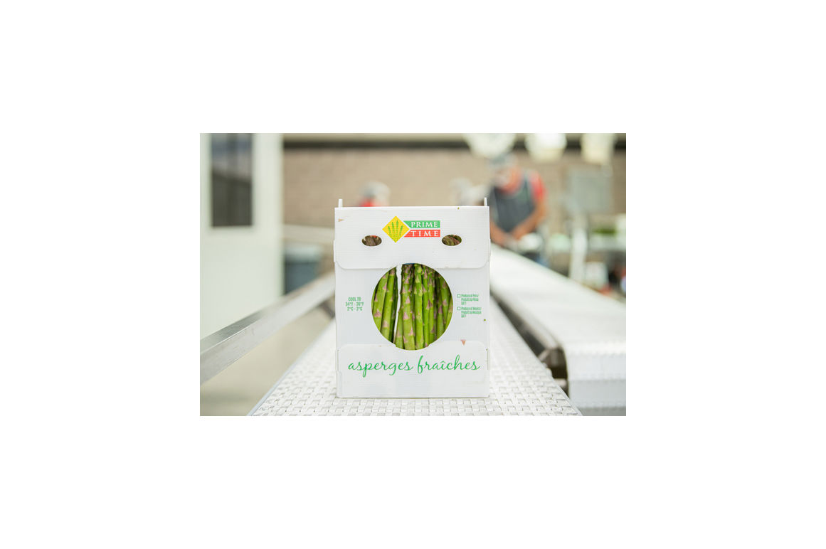 Asparagus Fresh Large