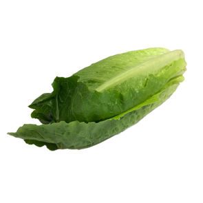 Lettuce Romaine Hearts Organic